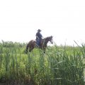 IMG_904530