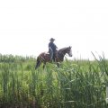 IMG_904531
