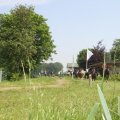 IMG_904532