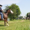 IMG_904534
