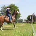 IMG_904536