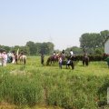 IMG_904537