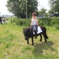 IMG_904561