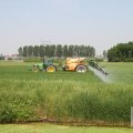 IMG_904568