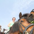 IMG_904609