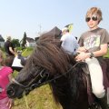 IMG_904611