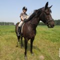 IMG_904638