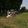 IMG_904639