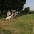 IMG_904640
