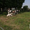 IMG_904641