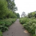 IMG_904665