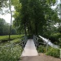 IMG_904668