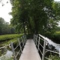 IMG_904669