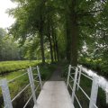 IMG_904671