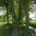 IMG_904673