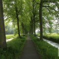 IMG_904675