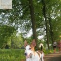 IMG_905046