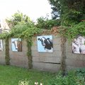 IMG_906584