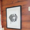 IMG_906595