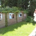 IMG_906597
