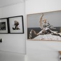 IMG_906608