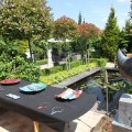 IMG_906633