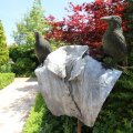 IMG_906636