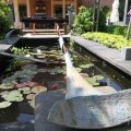 IMG_906642
