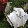 IMG_906649