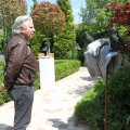 IMG_906650