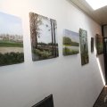 IMG_906723