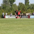 IMG_906885