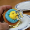 IMG_908549