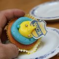 IMG_908550
