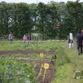 IMG_909215