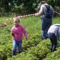 IMG_909233