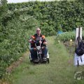 IMG_909238