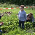 IMG_909250