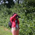 IMG_909261