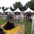 IMG_909551