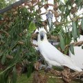 IMG_909589
