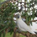 IMG_909591