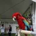 IMG_909601