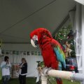IMG_909602