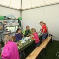IMG_909615