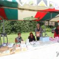 IMG_909637