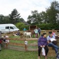 IMG_909647