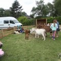 IMG_909648