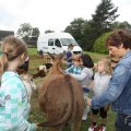 IMG_909652
