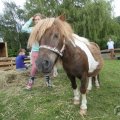 IMG_909654